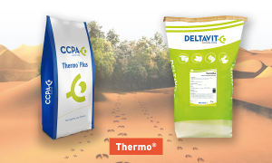 Thermo products : thermoplus and delta thermo plus