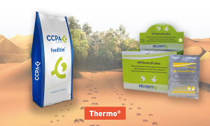 Vignette volaille produits Thermo FeedStim et ThermoPoultry