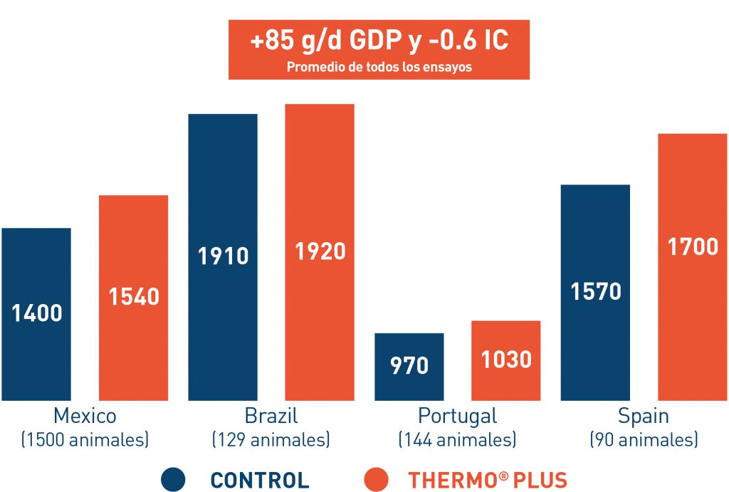 Eficacia probada bovinos de carne Thermo