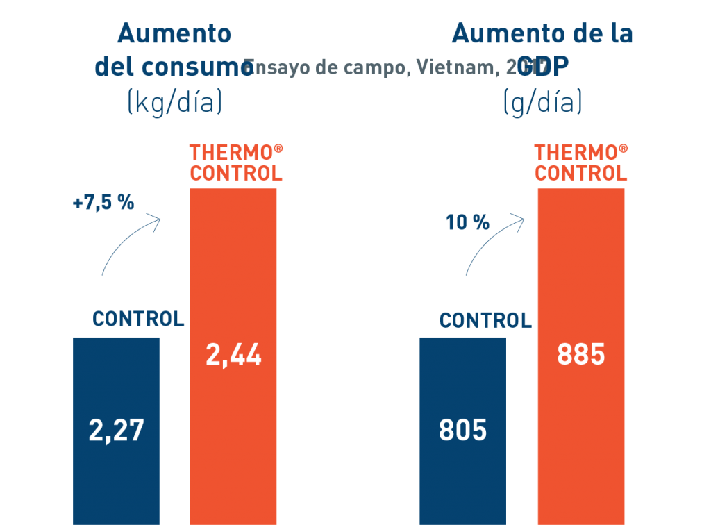 Eficacia probada en cerdos para producción de carne ThermoControl®