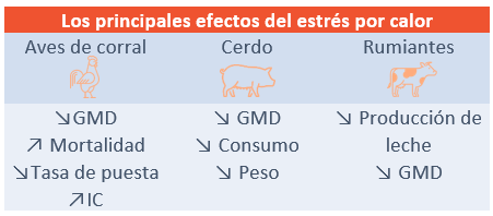 Efectos del estrés térmico en las materias primas