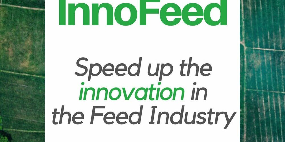 Podcast InnoFeed CCPA