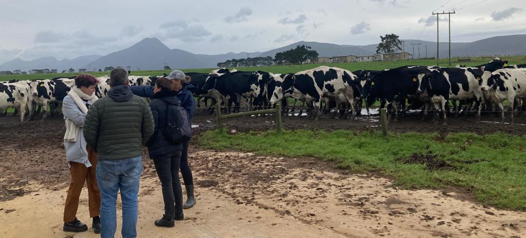 Tournée Thermo Afrique du Sud