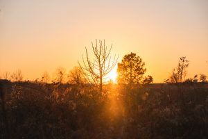 Sol América Latina Estrés térmico